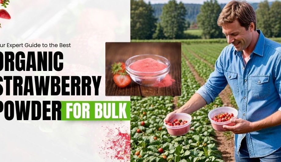 Organic Strawberry Powder bulk supplier, Organic Strawberry Powder bulk manufacture, Organic Strawberry Powder wholesaler