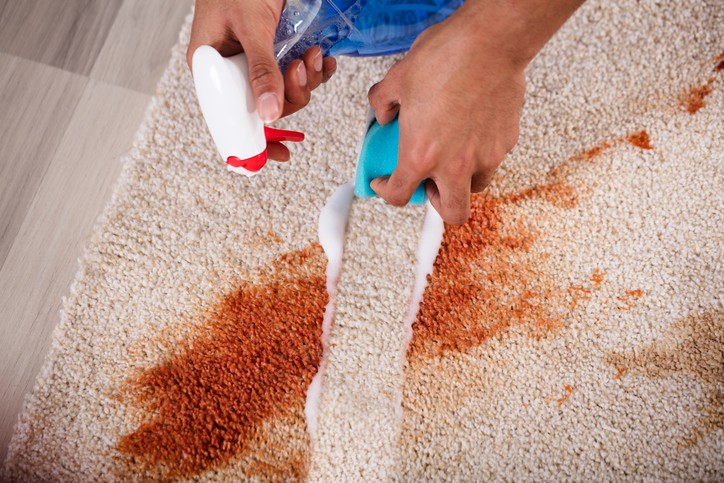 Carpet Stain Removal