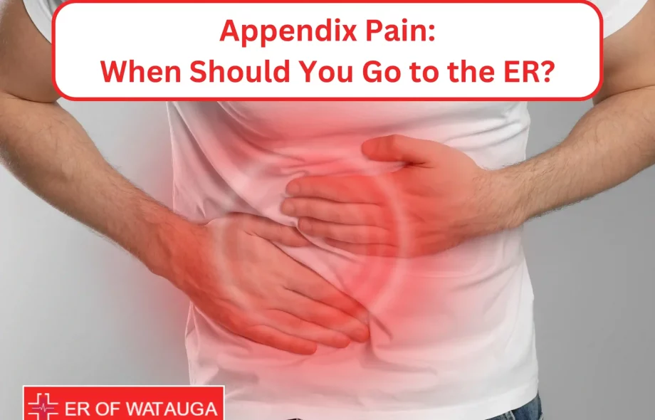 Organs on the Left Side of the Body